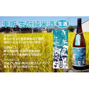 画像4: 車坂 生酛仕込純米 生酒　720ml