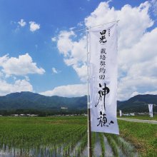 他の写真1: 田光 神の穂 純米吟醸 初しぼり 無濾過・生酒  720ml